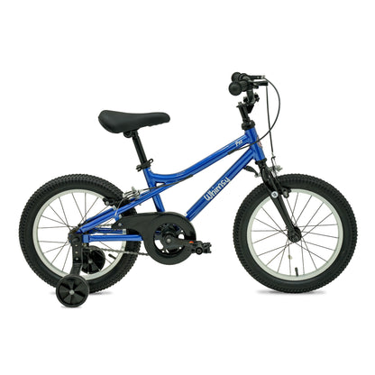 Whimsy Pro 16 - Inch Kids Bike