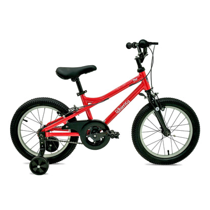 Whimsy Pro 16 - Inch Kids Bike