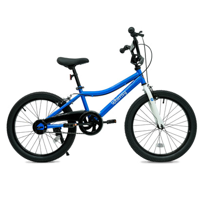 Whimsy Classic 20 - Inch Kids Bike