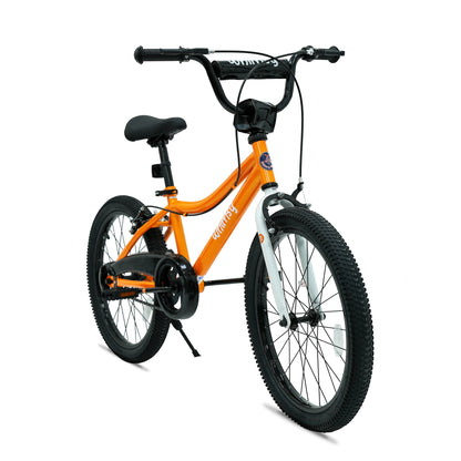 Whimsy Classic 20 - Inch Kids Bike