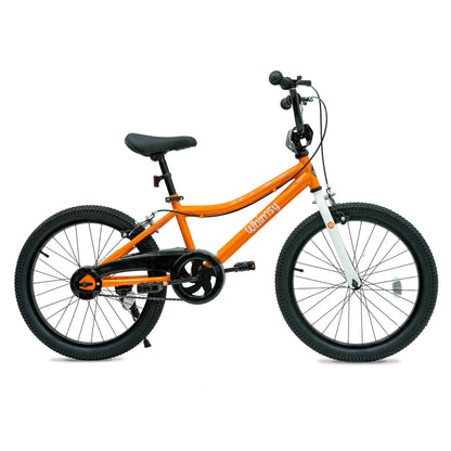 Whimsy Classic 20 - Inch Kids Bike