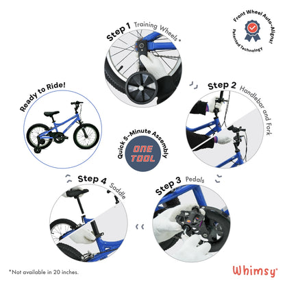 Whimsy Pro 20 - Inch Kids Bike
