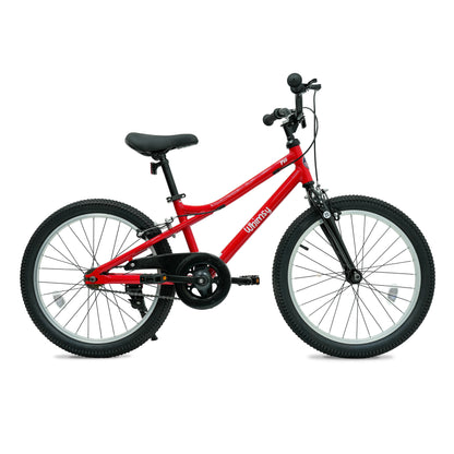 Whimsy Pro 20 - Inch Kids Bike