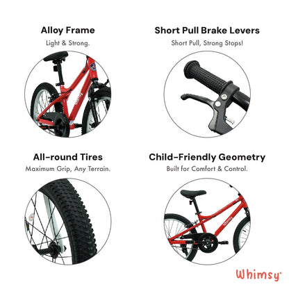 Whimsy Pro 20 - Inch Kids Bike