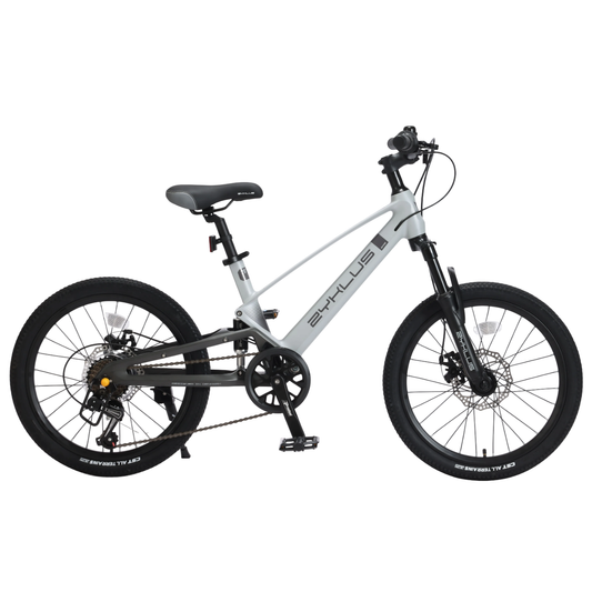 Zyklus 22" Shox Kids Bike