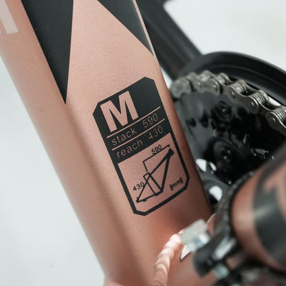Zyklus Turbo 36 Mountain Bikes | Rose Gold