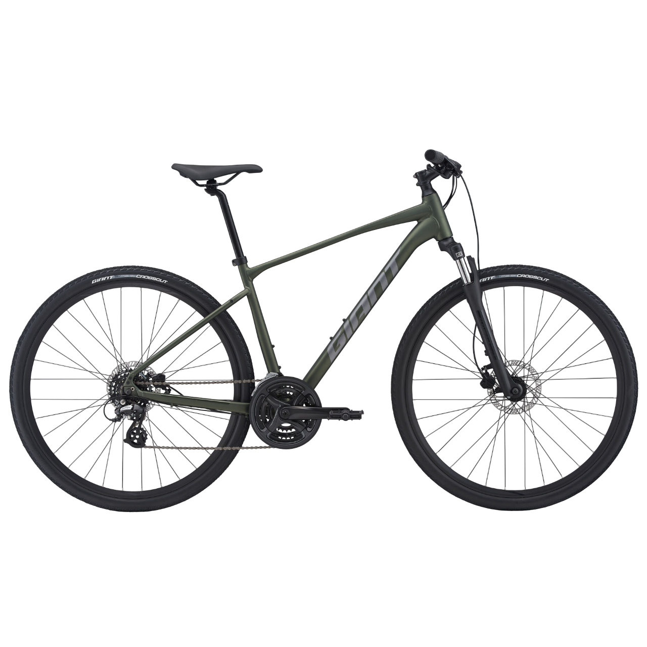 GIANT Giant Roam 4 Hybrid Bike