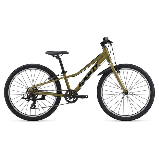 GIANT 24-Inch  Kids Talon Lite Mountain Bike