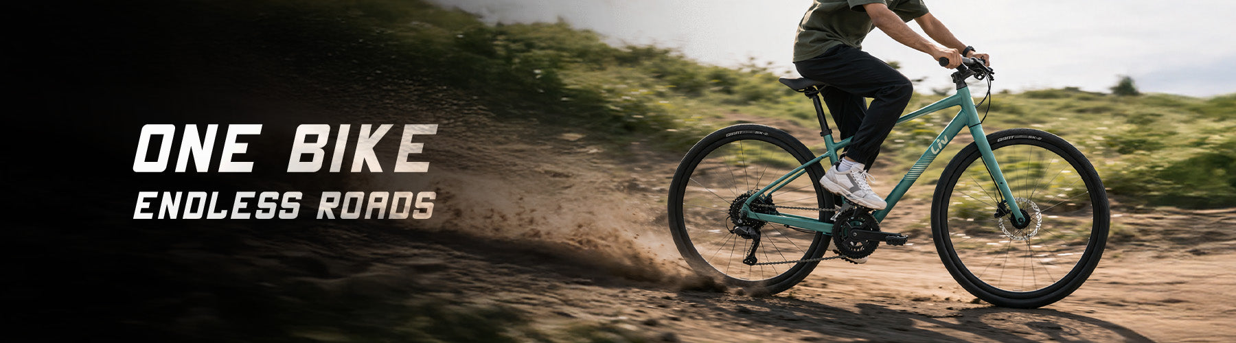 Hybrid Bikes