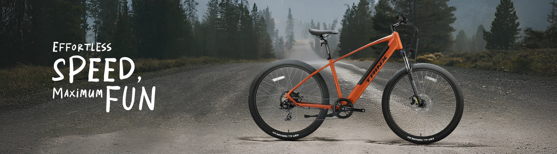 E Bike