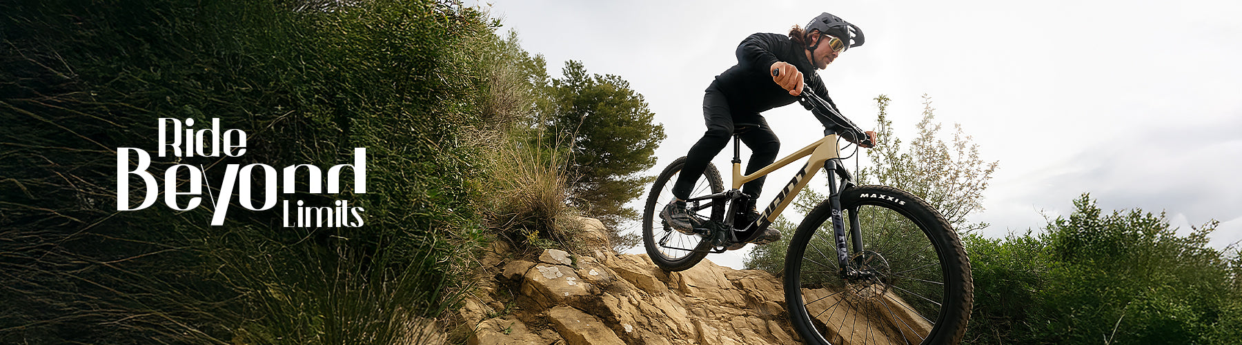 Mountain Bikes