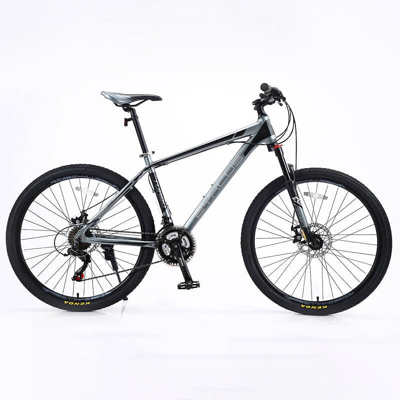 Zyklus Turbo 36 Bikes | 17inch Frame